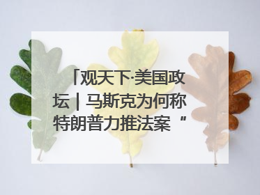 观天下·美国政坛｜马斯克为何称特朗普力推法案“令人作呕”