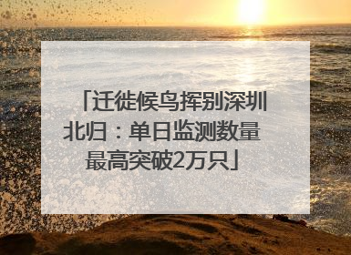 迁徙候鸟挥别深圳北归：单日监测数量最高突破2万只