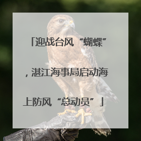 迎战台风“蝴蝶”，湛江海事局启动海上防风“总动员”
