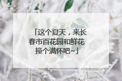 这个夏天，来长春市百花园和鲜花撞个满怀吧~