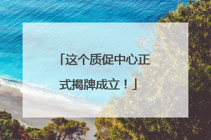 这个质促中心正式揭牌成立！