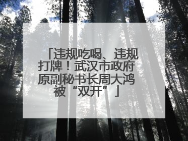违规吃喝、违规打牌！武汉市政府原副秘书长周大鸿被“双开”