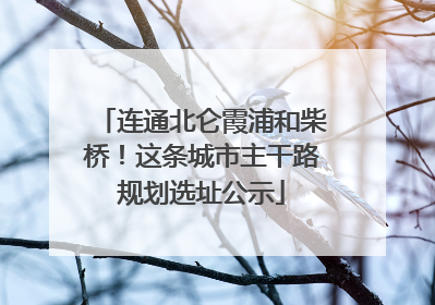 连通北仑霞浦和柴桥！这条城市主干路规划选址公示