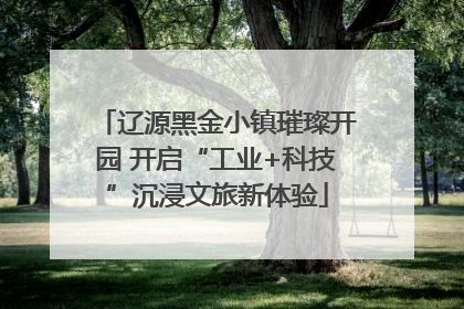 辽源黑金小镇璀璨开园 开启“工业+科技”沉浸文旅新体验