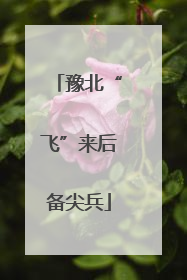 豫北“飞”来后备尖兵