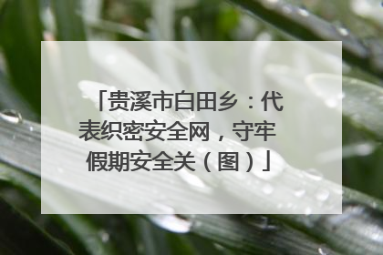 贵溪市白田乡：代表织密安全网，守牢假期安全关（图）
