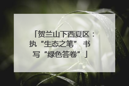 贺兰山下西夏区：执“生态之笔” 书写“绿色答卷”