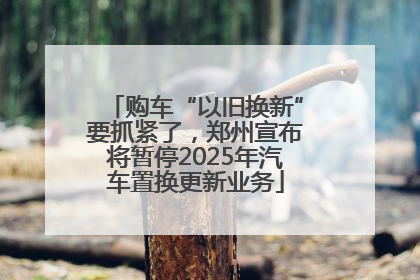 购车“以旧换新”要抓紧了，郑州宣布将暂停2025年汽车置换更新业务