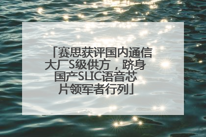 赛思获评国内通信大厂S级供方，跻身国产SLIC语音芯片领军者行列