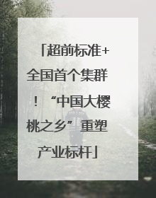 超前标准+全国首个集群！“中国大樱桃之乡”重塑产业标杆