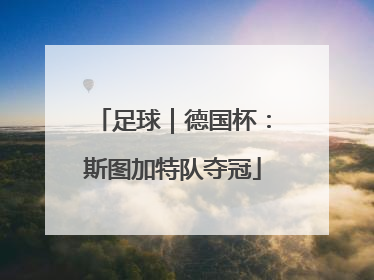 足球｜德国杯：斯图加特队夺冠