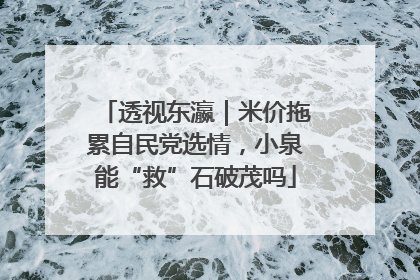 透视东瀛｜米价拖累自民党选情，小泉能“救”石破茂吗