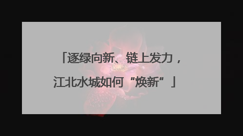 逐绿向新、链上发力，江北水城如何“焕新”