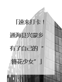 速来打卡！通海县兴蒙乡有了自己的“簪花少女”