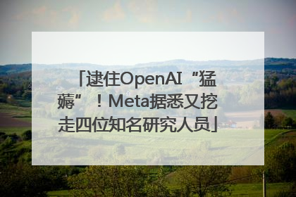 逮住OpenAI“猛薅”！Meta据悉又挖走四位知名研究人员