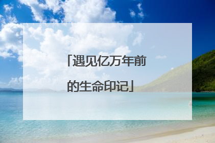 遇见亿万年前的生命印记