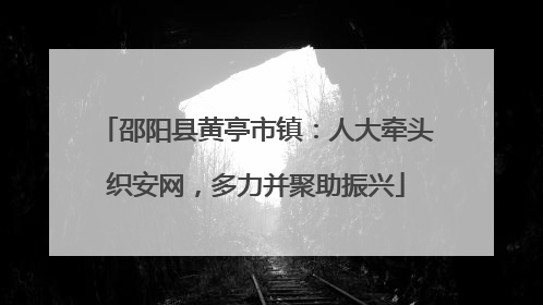 邵阳县黄亭市镇：人大牵头织安网，多力并聚助振兴