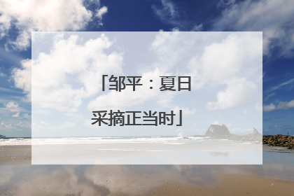 邹平：夏日采摘正当时