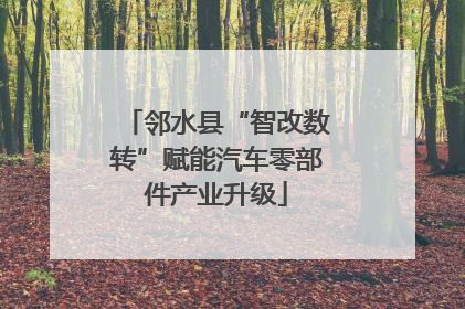邻水县“智改数转”赋能汽车零部件产业升级