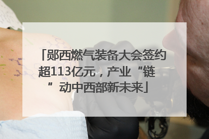 郧西燃气装备大会签约超113亿元，产业“链”动中西部新未来