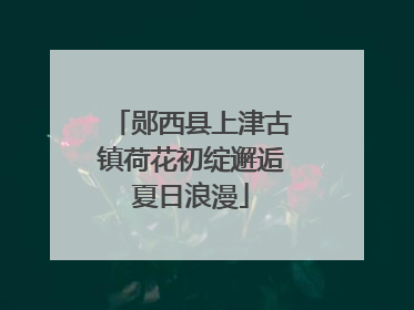 郧西县上津古镇荷花初绽邂逅夏日浪漫