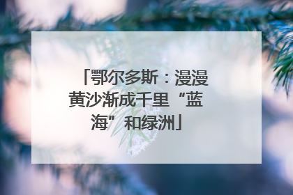 鄂尔多斯：漫漫黄沙渐成千里“蓝海”和绿洲