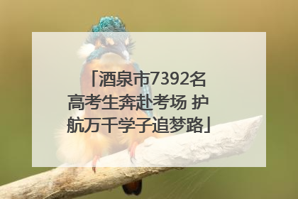 酒泉市7392名高考生奔赴考场 护航万千学子追梦路