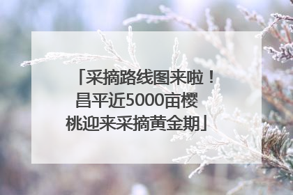 采摘路线图来啦！昌平近5000亩樱桃迎来采摘黄金期