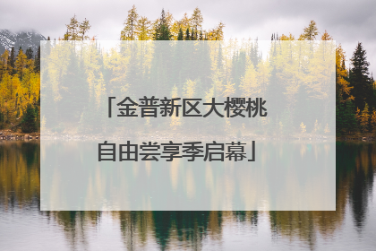 金普新区大樱桃自由尝享季启幕