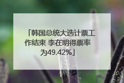 韩国总统大选计票工作结束 李在明得票率为49.42%