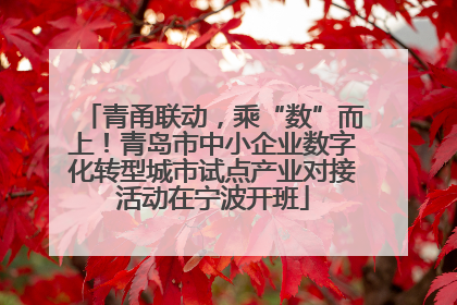 青甬联动，乘“数”而上！青岛市中小企业数字化转型城市试点产业对接活动在宁波开班