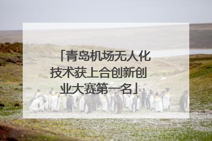 青岛机场无人化技术获上合创新创业大赛第一名