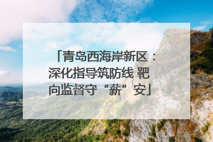 青岛西海岸新区：深化指导筑防线 靶向监督守“薪”安