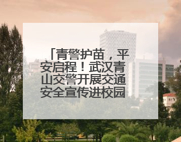 青警护苗，平安启程！武汉青山交警开展交通安全宣传进校园活动