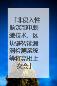 非侵入性脑深部电刺激技术、区块链智能漏洞检测系统等将亮相上交会