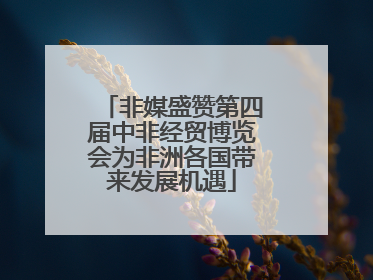 非媒盛赞第四届中非经贸博览会为非洲各国带来发展机遇