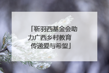 靳羽西基金会助力广西乡村教育 传递爱与希望