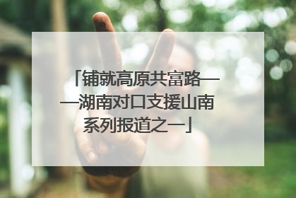 铺就高原共富路——湖南对口支援山南系列报道之一