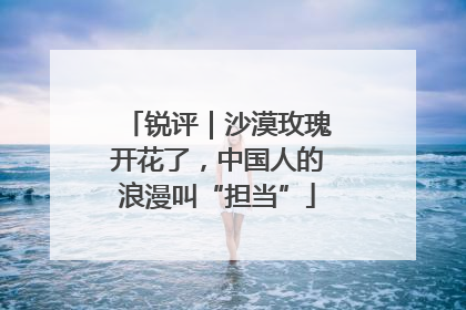 锐评｜沙漠玫瑰开花了，中国人的浪漫叫“担当”