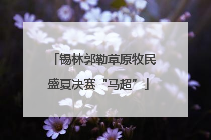 锡林郭勒草原牧民盛夏决赛“马超”