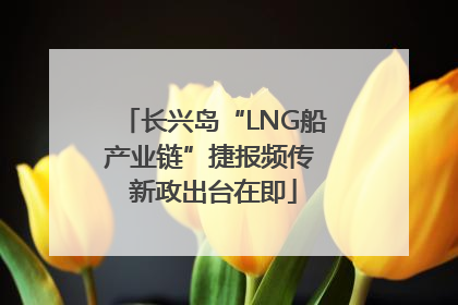 长兴岛“LNG船产业链”捷报频传 新政出台在即