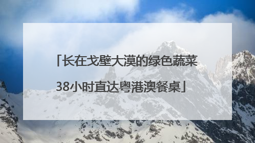 长在戈壁大漠的绿色蔬菜38小时直达粤港澳餐桌