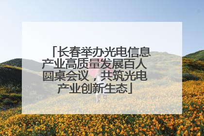 长春举办光电信息产业高质量发展百人圆桌会议，共筑光电产业创新生态