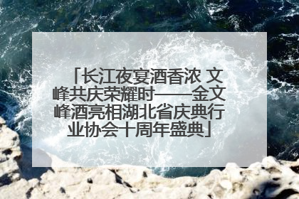 长江夜宴酒香浓 文峰共庆荣耀时——金文峰酒亮相湖北省庆典行业协会十周年盛典