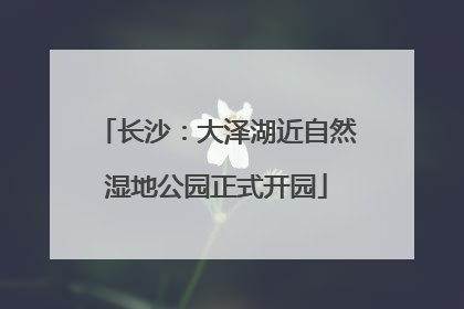 长沙：大泽湖近自然湿地公园正式开园