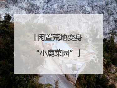 闲置荒地变身“小鹿菜园”