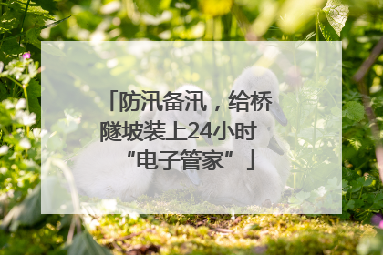 防汛备汛，给桥隧坡装上24小时“电子管家”