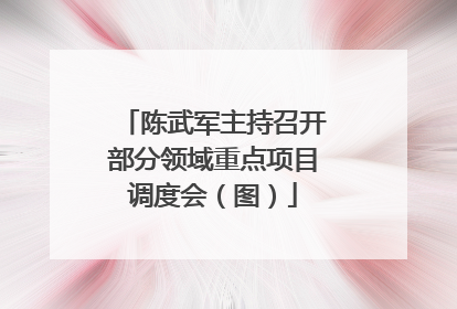 陈武军主持召开部分领域重点项目调度会（图）