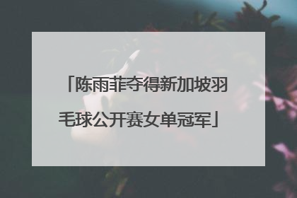 陈雨菲夺得新加坡羽毛球公开赛女单冠军