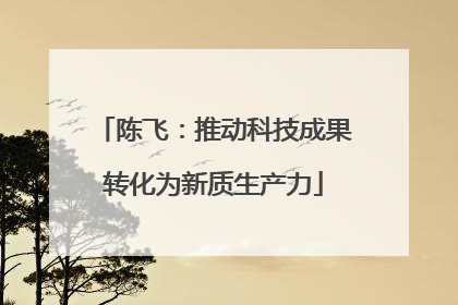 陈飞：推动科技成果转化为新质生产力